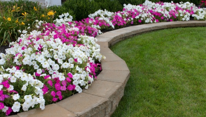 montgomery-county-md-rental-property-landscaping