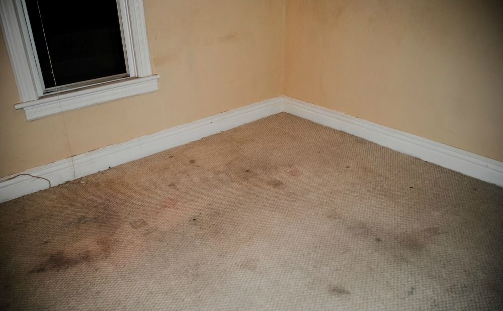 tenant-damages-include-carpet-stains-philadelphia-rental-property