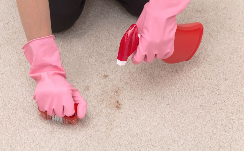 why-your-rental-property-carpets-being-ruined