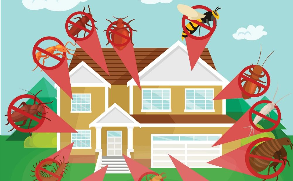 Take Advantage of The Pest Control For Your Philadelphia Rental Property