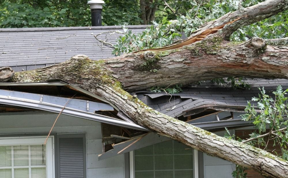 Major Causes of Roof Damages in Philly Rental Properties