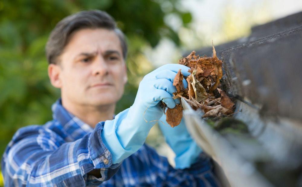 Clean Gutters for End of the Summer Maintenance in Your Philadelphia Rental Property
