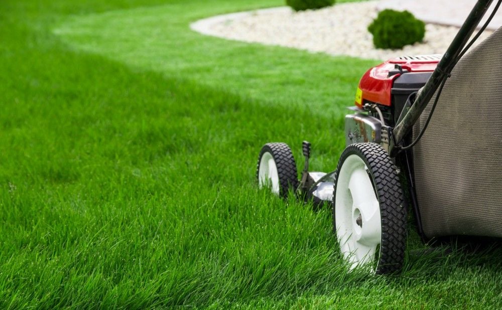 Landscapers In Philadelphia to Mow Your Rental Property Lawns