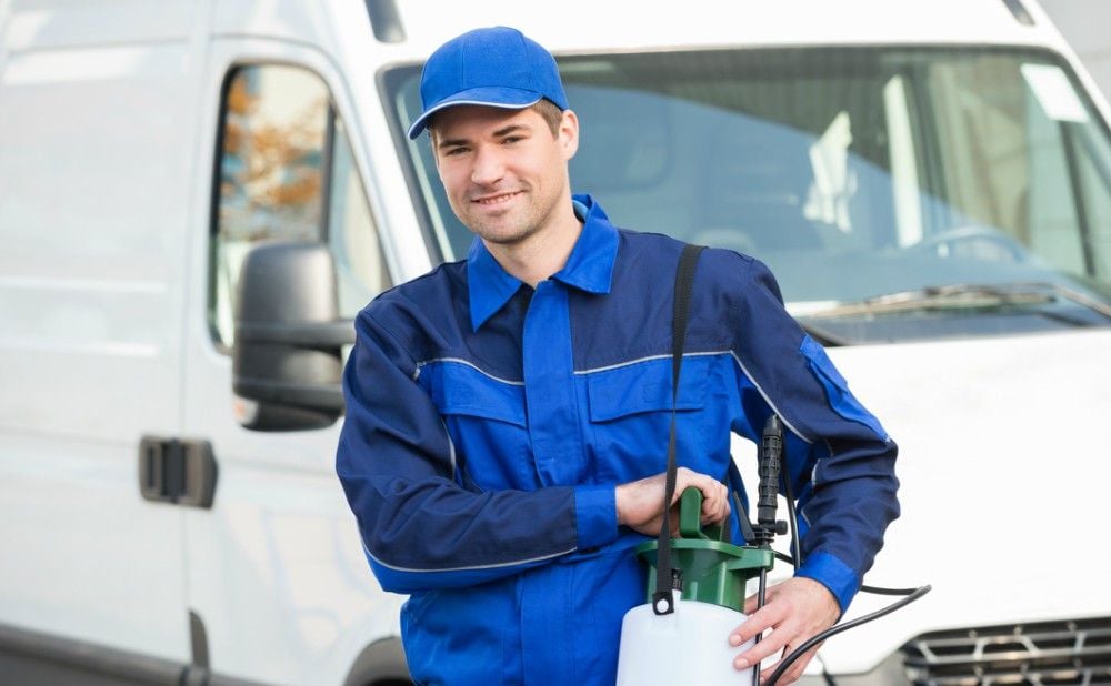 Top 10 Pest Control Companies In Philly