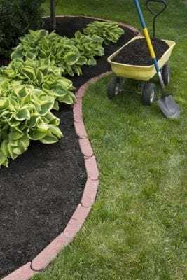 Tips for Landscaping at your Harrisburg Rental Property