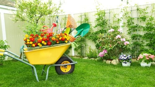 Landscaping Tips for your Harrisburg, PA Rental Property 