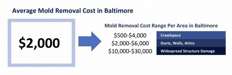 Steps for Mold Remediation and Average Cost