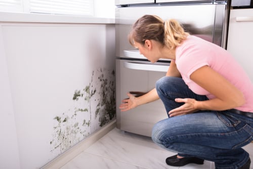 Is It Mold? Contact Your Rental Home Management in Washington DC!