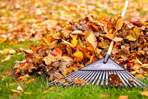 Fall and Winter Yard Maintenance Tips