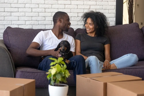 pets-in-a-rental-property