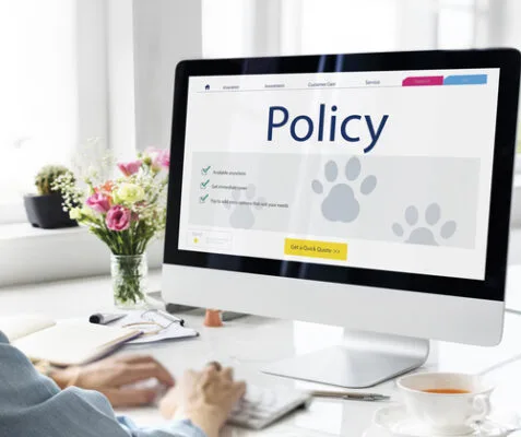 pet-policy-in-a-rental-property