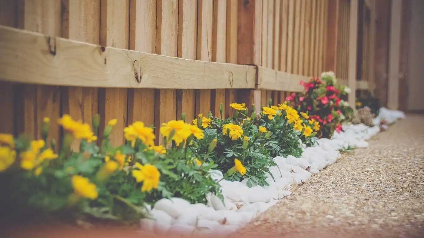 9 Cost-Effective Ways to Make Your Rental Property Feel Like Home