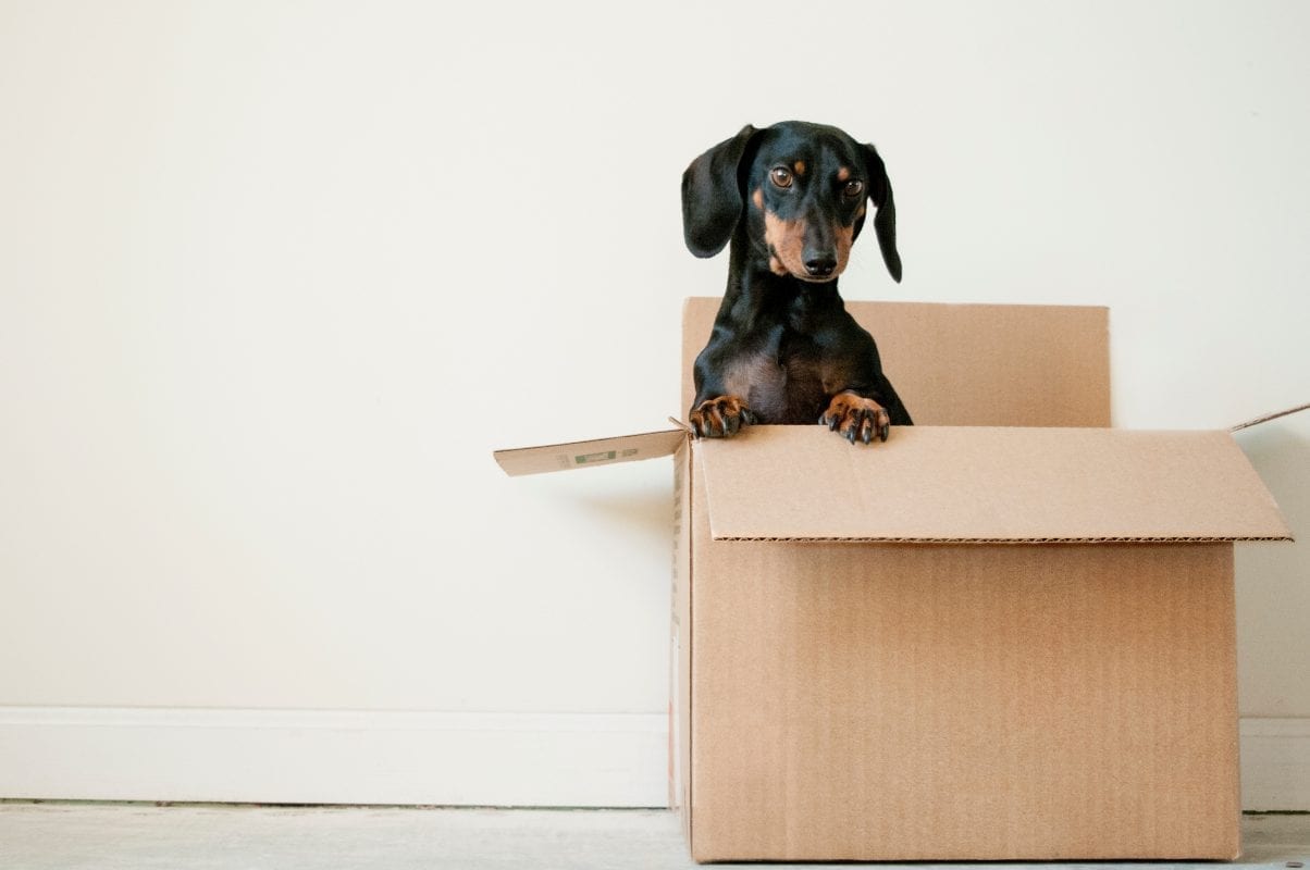 How to Ask a Tenant to Move Out