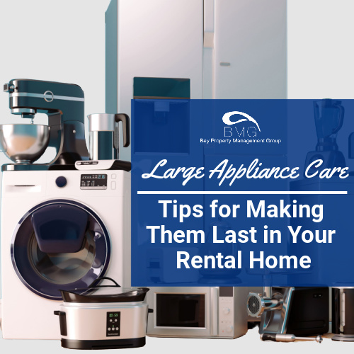 large-appliance-care