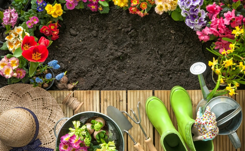 Gardening tools and flowers on the terrace in the garden | | Bay Property Management Group