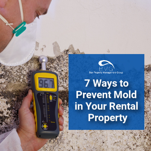 prevent-mold-in-your-rental