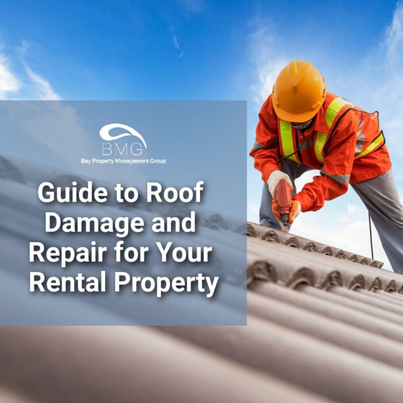 Guide to Roof Damage and Repair for Your Philly Rental Property