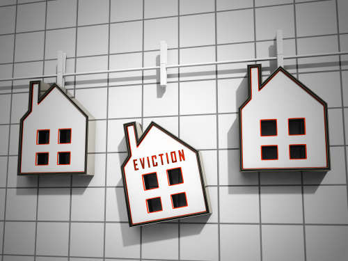 eviction guide washington dc