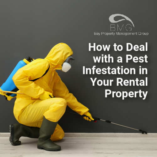 How-to-Deal-with-a-Pest-Infestation-in-Your-Rental-Property