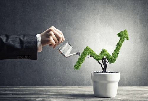 maximize profits rental property