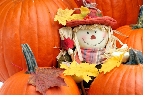 Fall Fun Amidst COVID-19 in Prince George's County