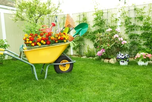 Other Ways to Boost Curb Appeal