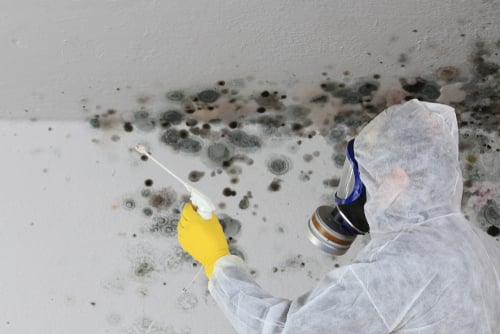 Water Damage, Wall/Ceiling Discoloration, or Mold