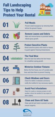 fall-landscaping-tips-for-tenants