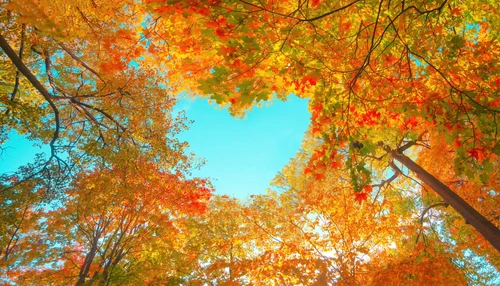 Fun Fall Activities for the Whole Family in Arlington Virginia