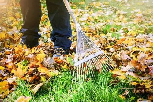 Fall Maintenance Tasks for Landlords and Tenants