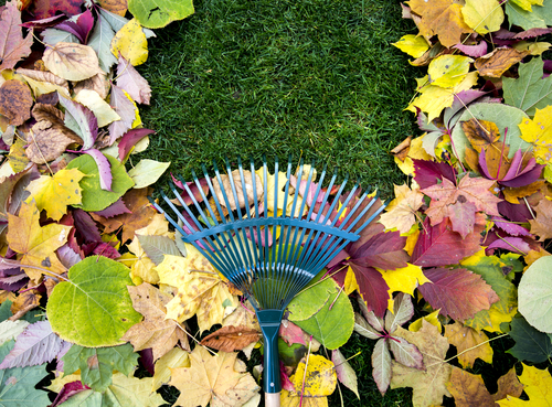 fall-landscaping-tips-renters