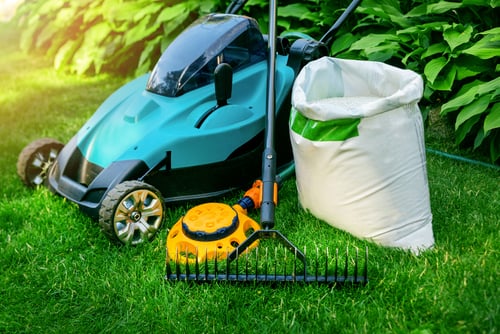 rental-property-lawn-care