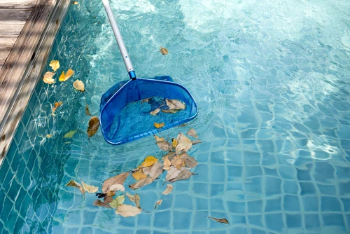 Skimming leaves from a swimming pool to keep a rental property clean and safe