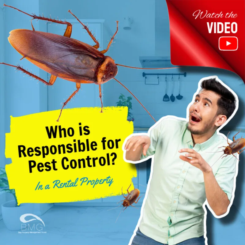 Who is Responsible for Pest Control in Your Rental Property_ (2) | | Bay Property Management Group