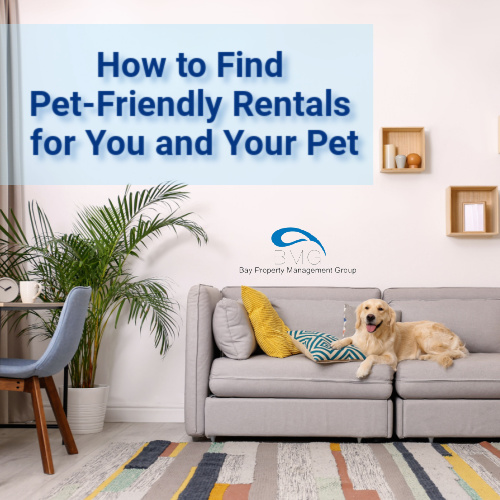 how-to-find-pet-friendly-rentals