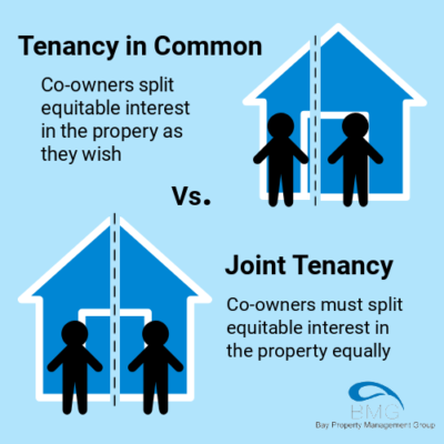 Dynamic Living: Navigating Co-tenancy Harmony