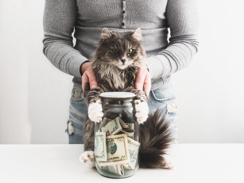 pet-fees-deposits-rent