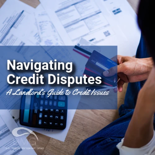 Navigating-Credit-Disputes | Bay Property Management Group