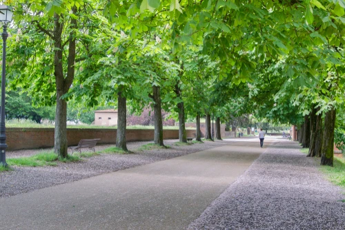 walkable-park