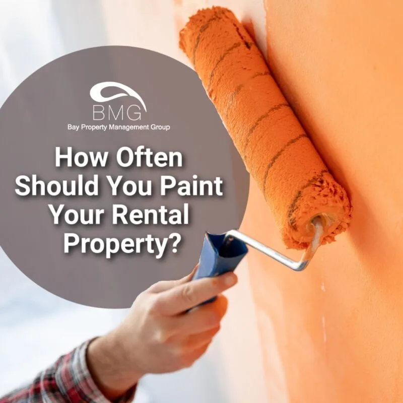 Paint-Your-Rental-Property