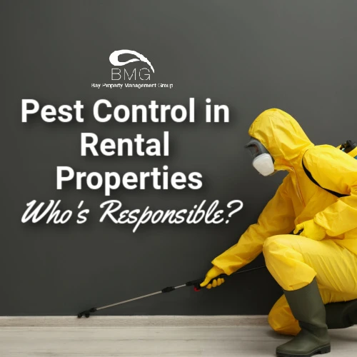 pest-control-in-rental-properties