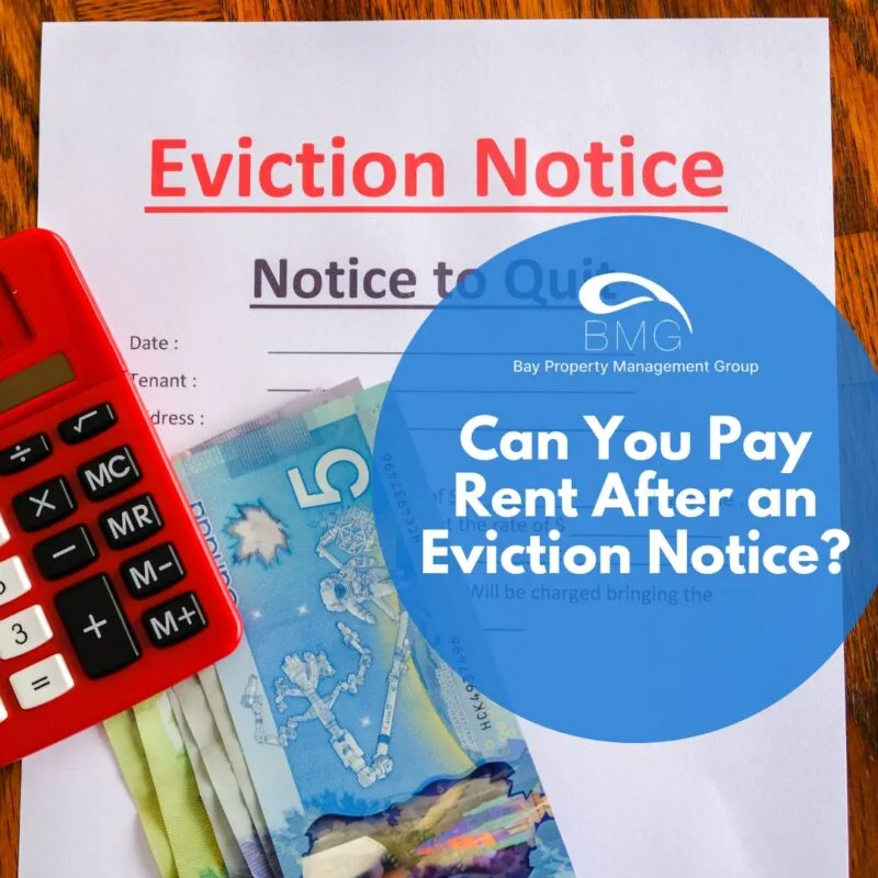 Can You Pay Rent After an Eviction Notice | | Bay Property Management Group