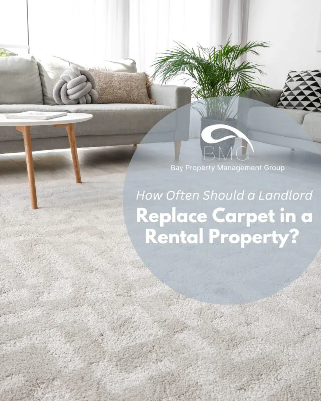 How Often Should a Landlord Replace Carpet in a Rental Property | | Bay Property Management Group