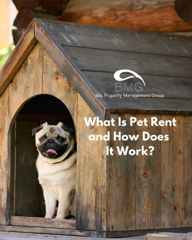 What Is Pet Rent and How Does It Work | | Bay Property Management Group