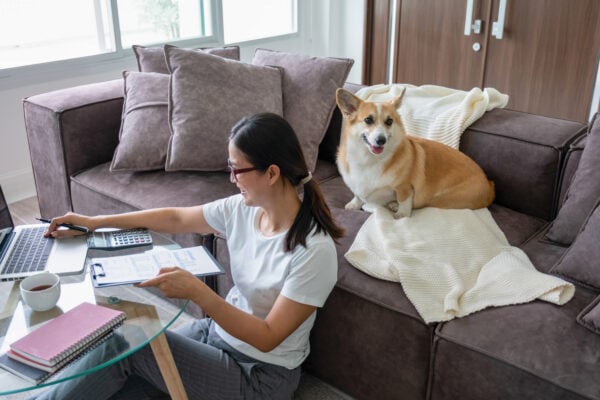 Tenant reviewing documents on a laptop while their dog sits on the couch in an apartment