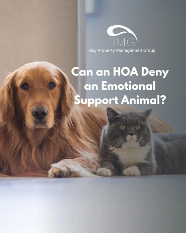 Can an HOA Deny an Emotional Support Animal | | Bay Property Management Group