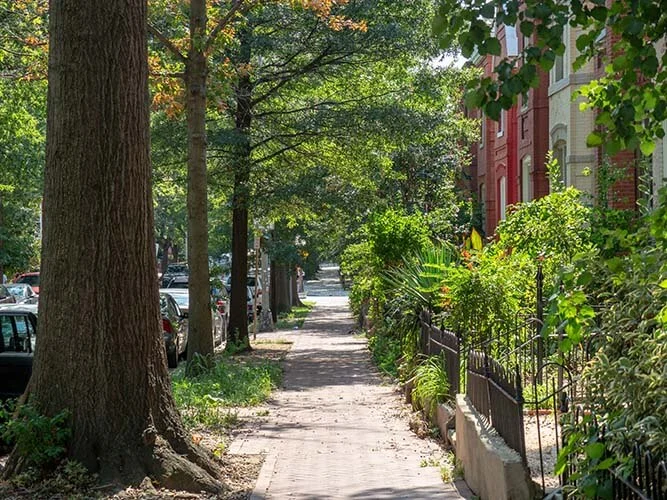 H Street | Bay Property Management Group