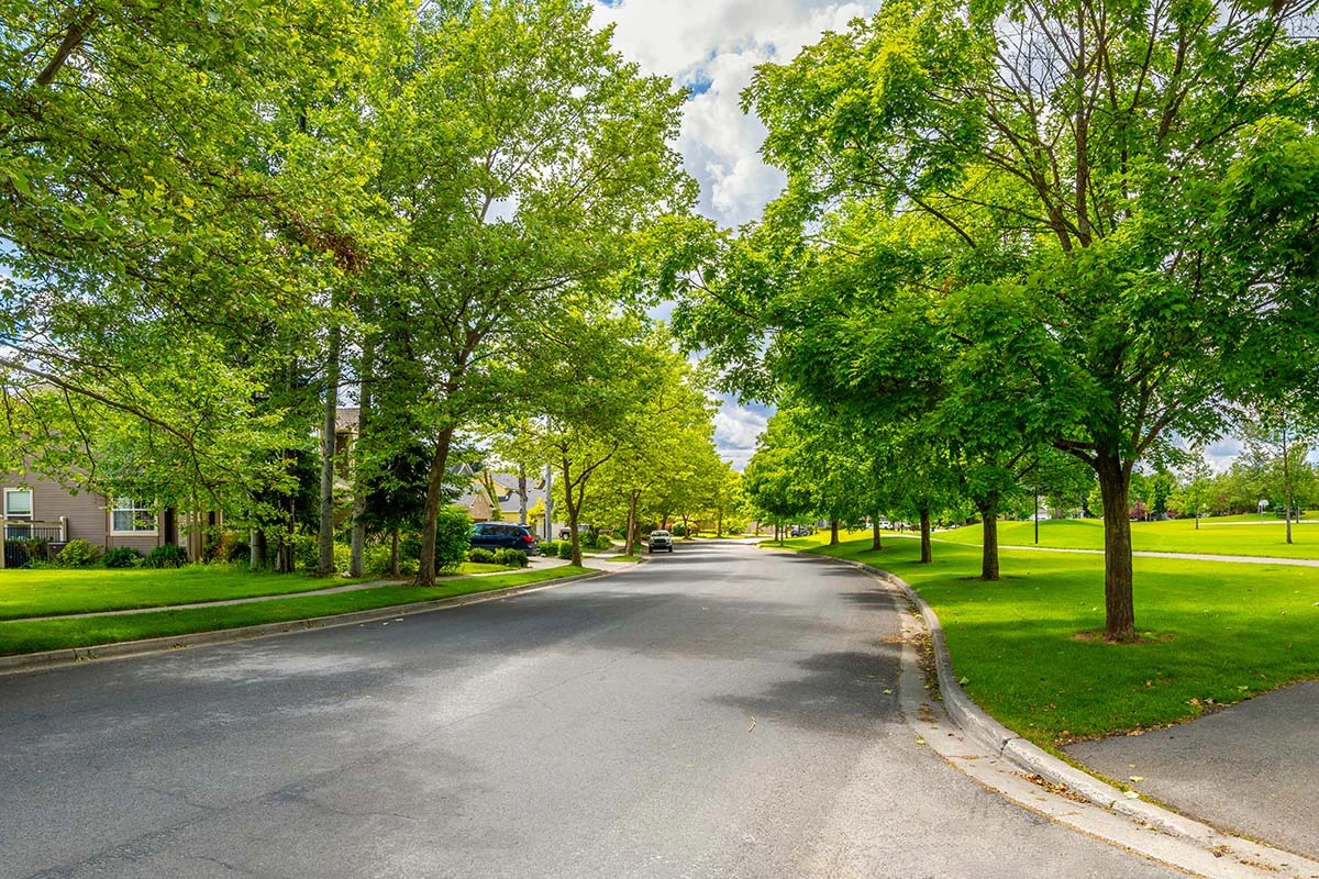 A shady tree lined street in a subdivision of homes across from | Bay Property Management Group